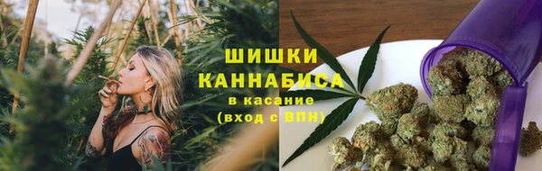 mdma Гусиноозёрск