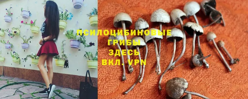 Псилоцибиновые грибы мухоморы  Гай 